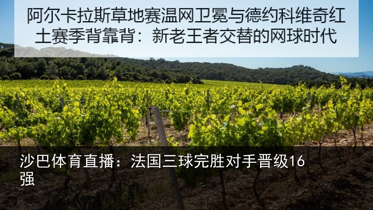 沙巴体育直播:法国三球完胜对手晋级16强
