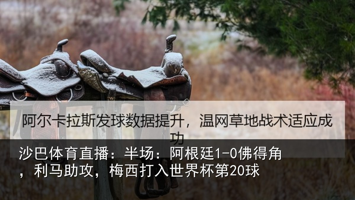 沙巴体育直播:半场相关情况相关情况杯第20球