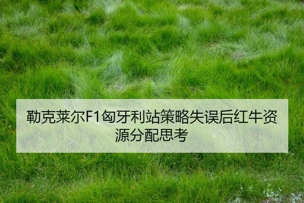 lei-ke-lai-er-xiong-ya-li-zhan-ce-lve-shi-wu-hou-hong-niu-zi-yuan-fen-pei-si-kao-2-298.jpg